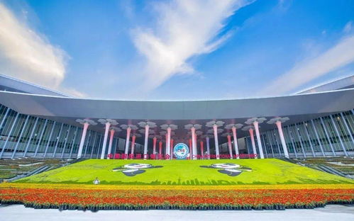 进博会,我们来了